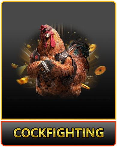cockfighting cockfighting